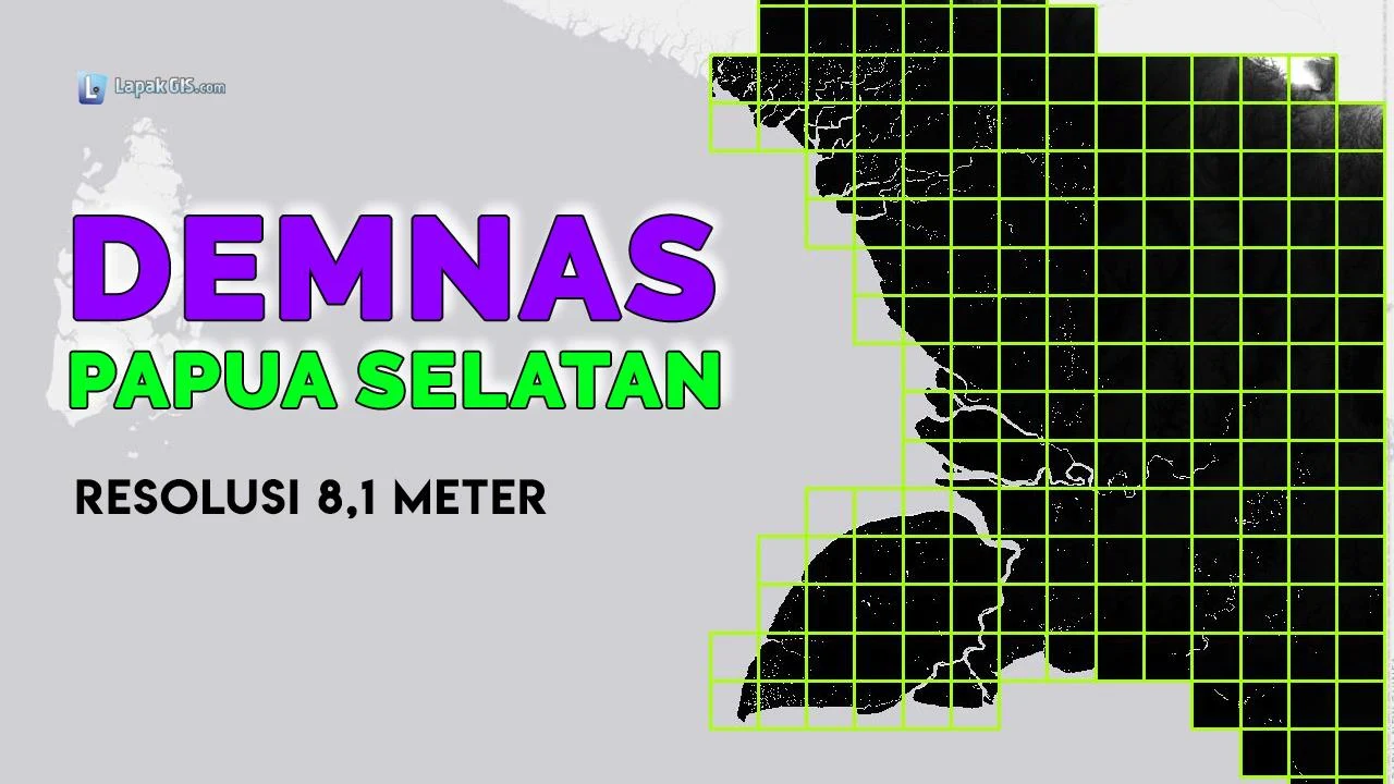 DEM Nasional (DEMNAS) Provinsi Papua Selatan Terbaru