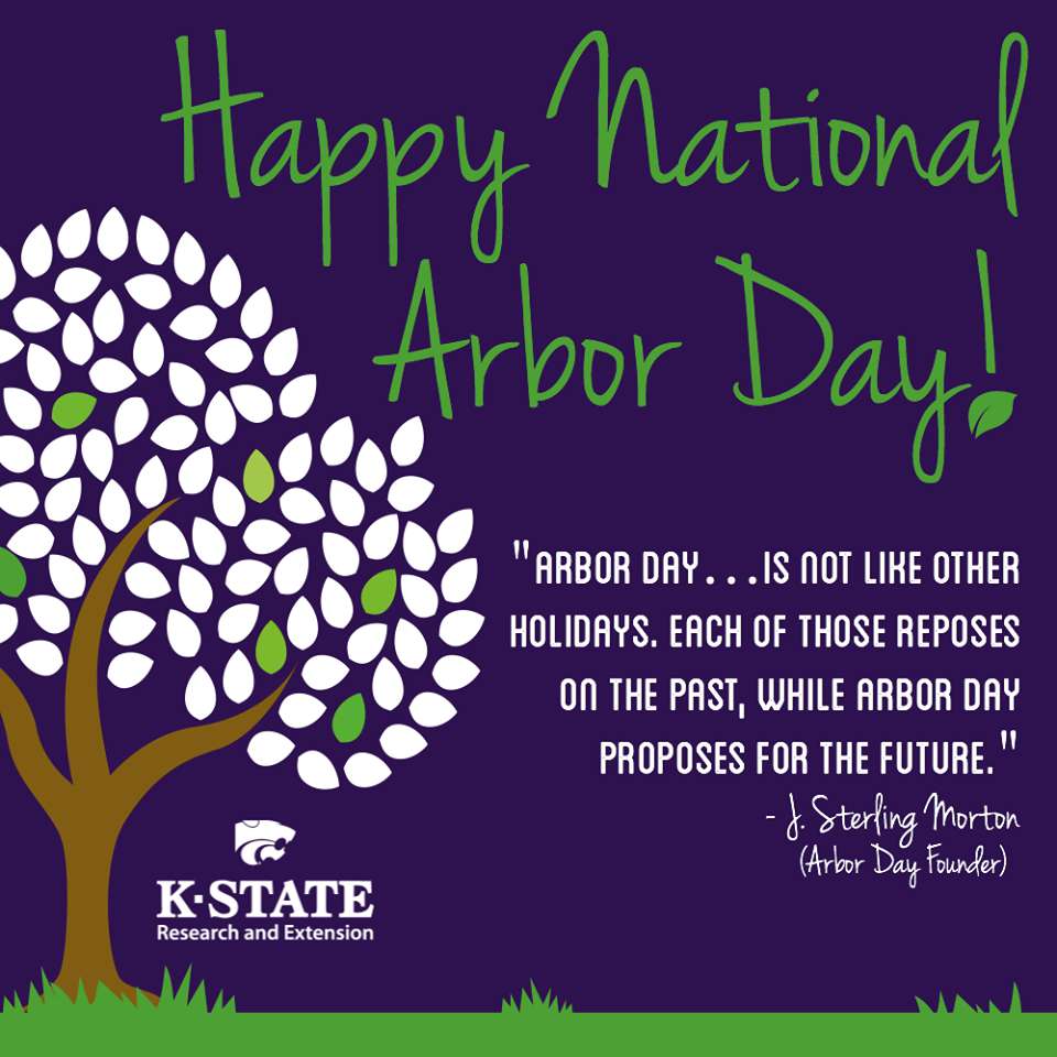 National Arbor Day Wishes Images