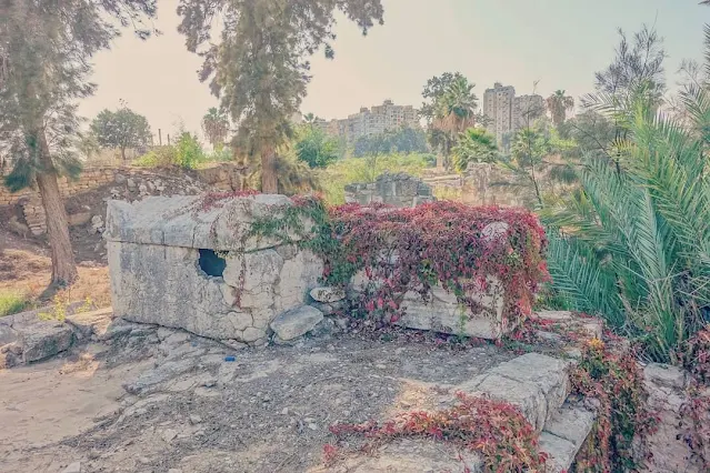 Cemetery of Tyre in Lebanon