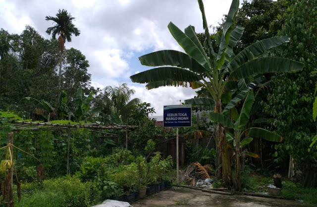 Kampung Berseri Astra Sungai Jawi Untuk Mewujudkan Wilayah yang Bersih Sehat Cerdas dan Produktif