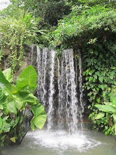 Ginger Garden, Botanical Gardens, Singapore