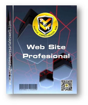 Diseño de Pagina Web Profesional Ecuador