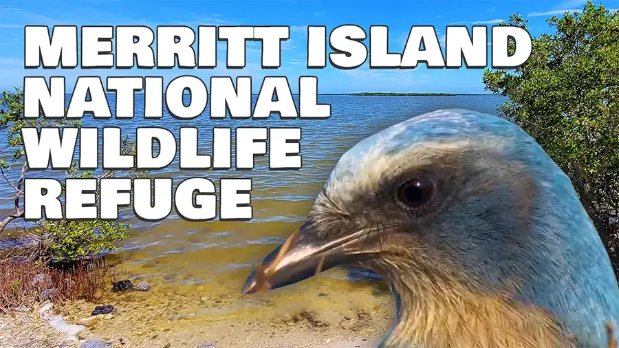 Merritt Island National Wildlife Refuge