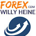 A Sua Jornada no Forex Completo