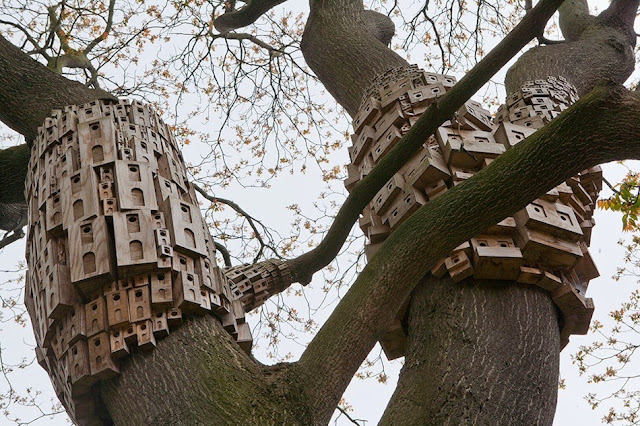 Spontaneous City in The Tree of Heaven by London Fieldworks