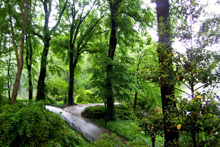 Central park