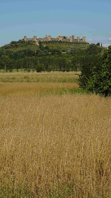 Tuscany in June Monteriggioni