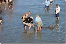 IMG_0870