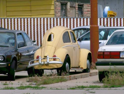 Skinny VW Bug always finds