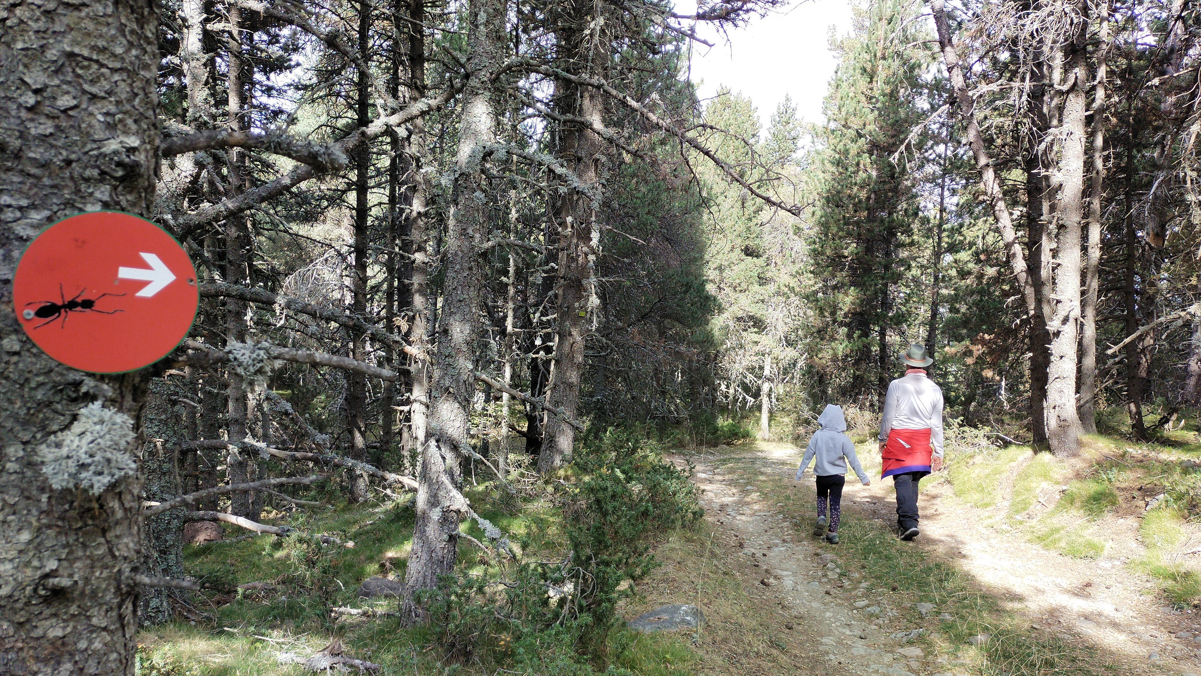 Circuito de interpretación de la fauna de La Molina