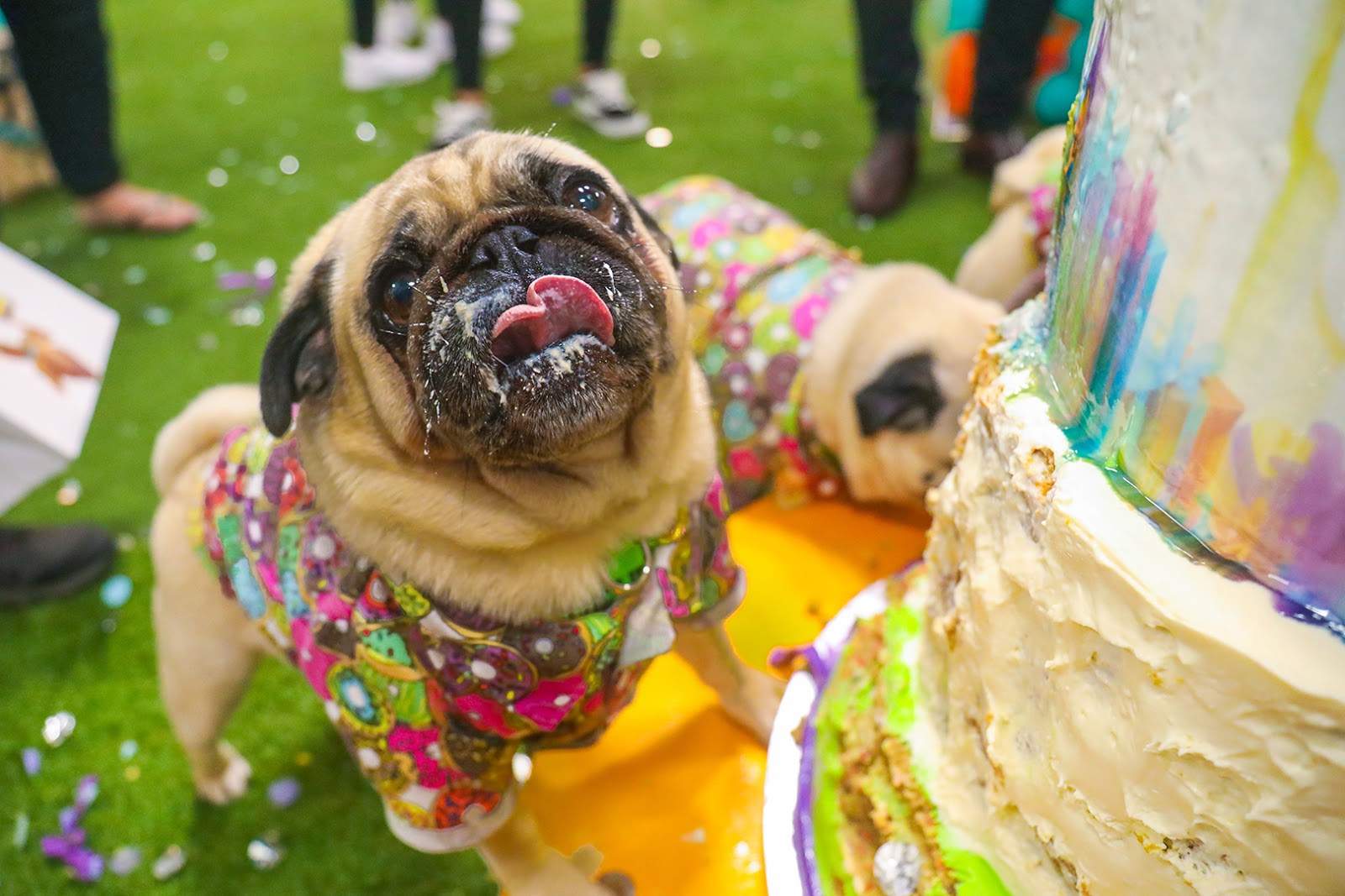 Scooby-Doo Celebrates his 50th Birthday with Australia's ...