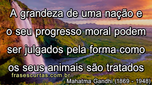 Frases sobre Natureza, Animais, Cuidar da Flora e Fauna