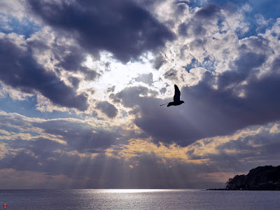 Setting sun: Yuigahama-beach (Kamakura)