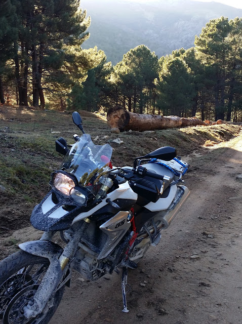 BMW F800 GS. Trail Forever. Una "quitapenas" por el Valle de Iruelas.