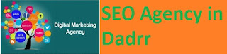  SEO Agency in Dadrr