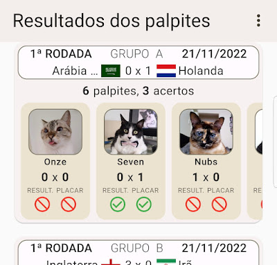 Palpites apurados no app Bolão da Copa