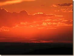 DSCF6491