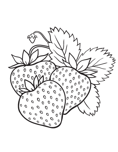 Printable Strawberry Coloring Page