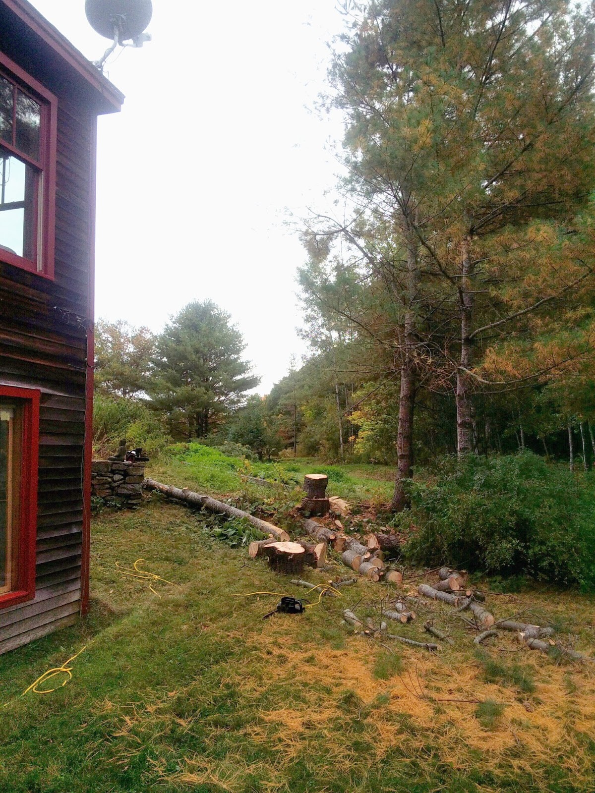 Living In The Shadow Of Climate Change Clearing A Tree That Was