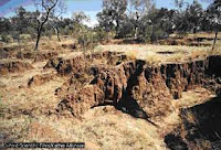 erosion del suelo