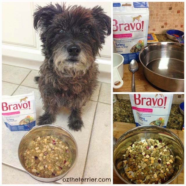 Oz the Terrier says its easy to mix up Bravo Homestyle Complete raw diet for dogs