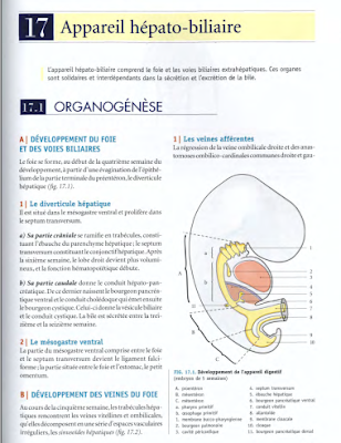 Télécharger Livre Gratuit ANATOMIE - Abdomen - Appareil hépato-biliaire pdf