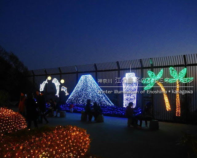 江の島 冬のイルミネーション：亀ヶ岡広場の電飾
