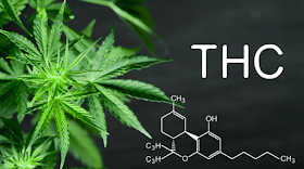 ﻿THCP, The Brand New Cannabinoid Noted To Be 30x Improved Than THC: But What Does This Truly Imply? 