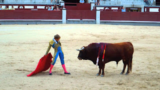 Toros para fondo de pantalla 1920x1080,fondos de pantalla de toros bravos,fondos de pantalla de caballos