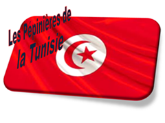 Pépinières de la Tunisie : Pépinière MABROUKA