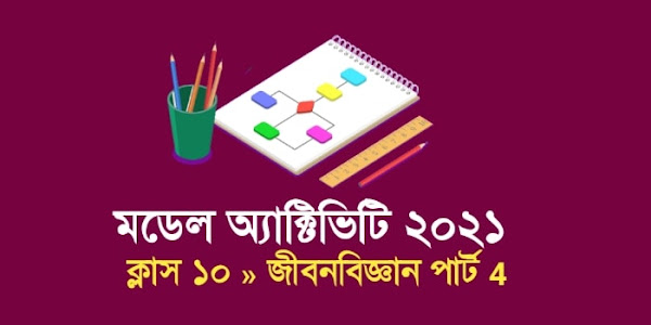 দশম শ্রেণী জীবনবিজ্ঞান মডেল অ্যাক্টিভিটি টাস্ক পার্ট 4 | 2021 Class 10 model activity task Life science new | মাইটোসিসের সবচেয়ে দীর্ঘস্থায়ী দশায় নিউক্লিয়াসের পরিবর্তন ঘটে