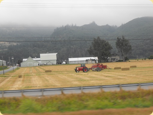 Bellingham & Fairhaven, WA 024