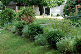      The Front Walk was just having its first season, so everything was still pretty small, but if you look closely you can see a lot of promise for the future.