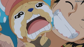 ワンピースアニメ 魚人島編 526話 チョッパー ルフィ | ONE PIECE Episode 526