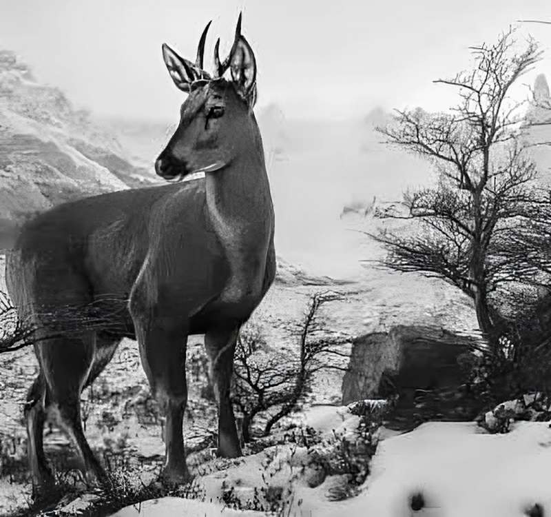 elcalafate- concurso fotografia