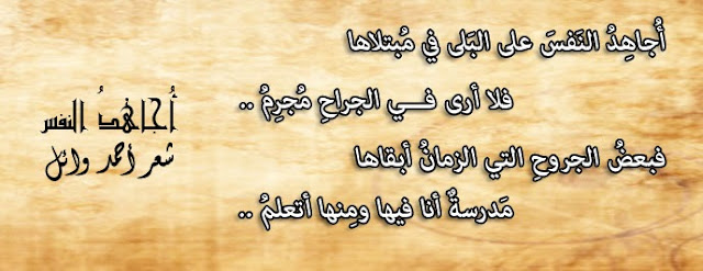 شعر التحمل والابتلاء