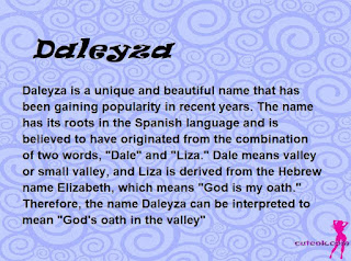 meaning of the name "Daleyza"