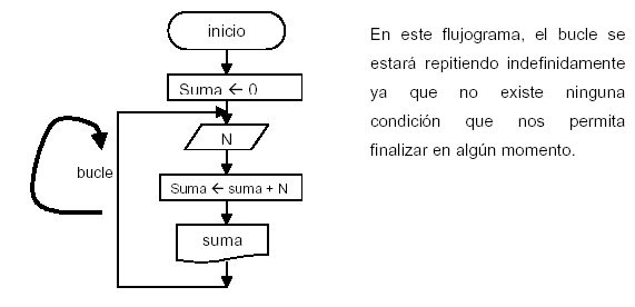 Opiniones de bucle programacion
