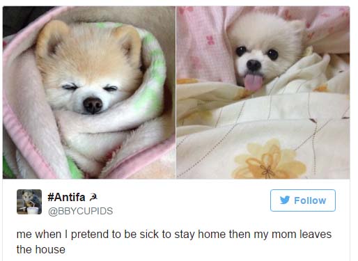 
Just 17 Memes About Being Sick. 