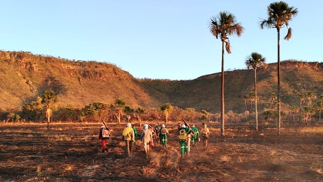 Ações preventivas e resposta rápida das brigadas reduzem em 80% os incêndios florestais em parques de Goiás