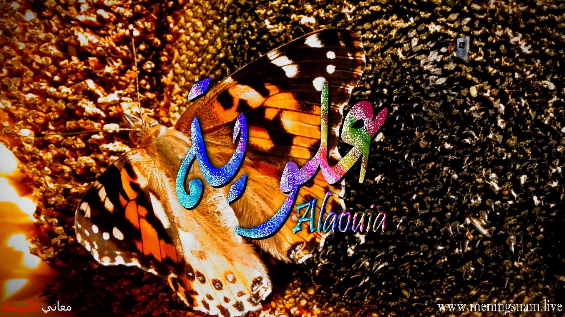 معنى اسم, علوية, وصفات, حاملة, هذا الاسم, Alawiyah,