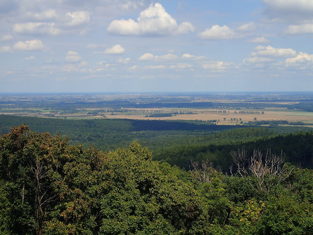 Widoki z Gromnika (393 m n.p.m., Wzgórza Strzelińsko-Niemczańskie)