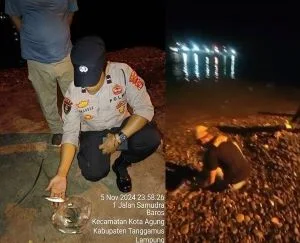Fenomena Ratusan Ikan Meloncat Kepingir Pantai, Terjadi di Pelabuhan Kota Agung