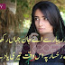 Beautiful 2 Lines Urdu Shayari Pics