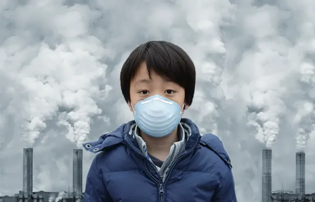 Risks and Solutions to Environmental Pollution