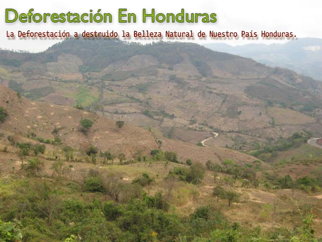 Deforestación En Honduras