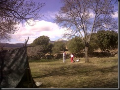 IMG00036-20100228-1337
