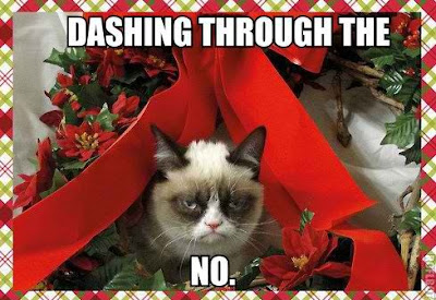 Grumpy Cat Saying No