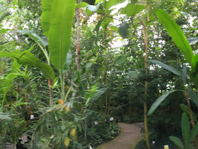 温室内部はまさにジャングル