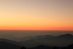 IMG_2863
